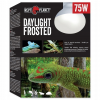 Repti planet żarówka do terrarium daylight frosted 75 w